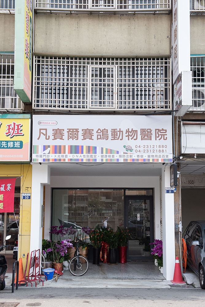 台中西區動物醫院門面翻新後