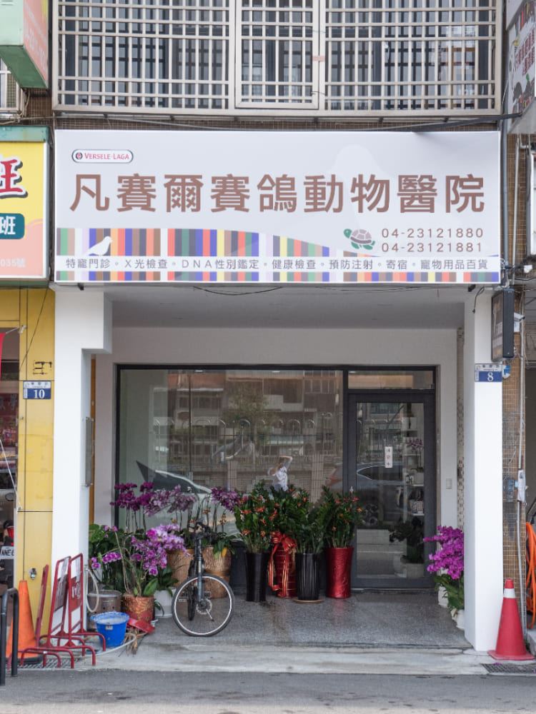台中西區動物醫院第一面招牌翻修後
